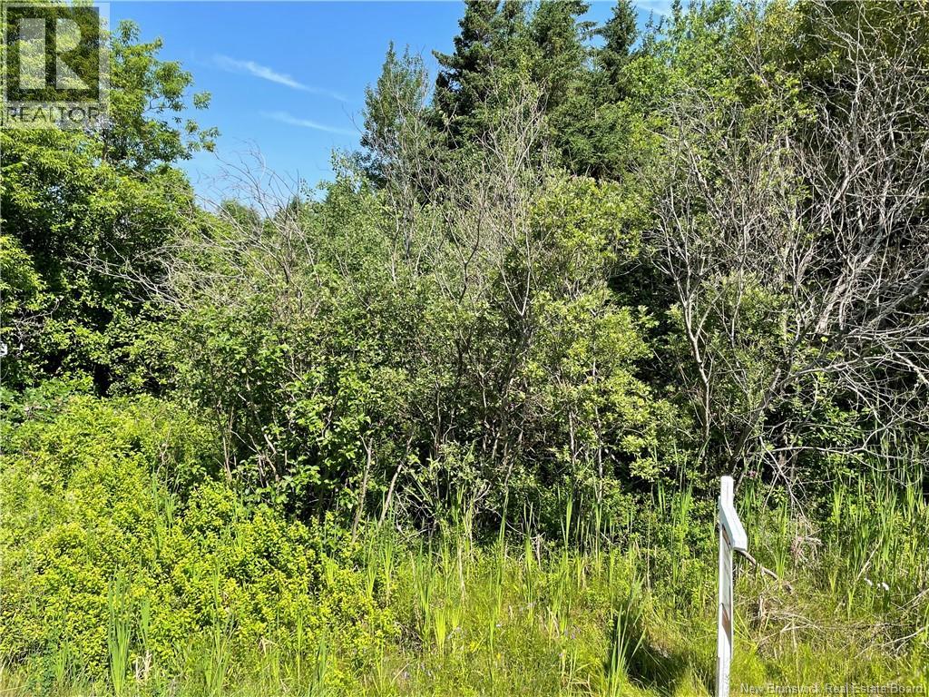 Lot 2 Communication Road, Irishtown, New Brunswick