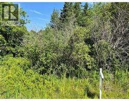 Lot 2 Communication Road, Irishtown, New Brunswick