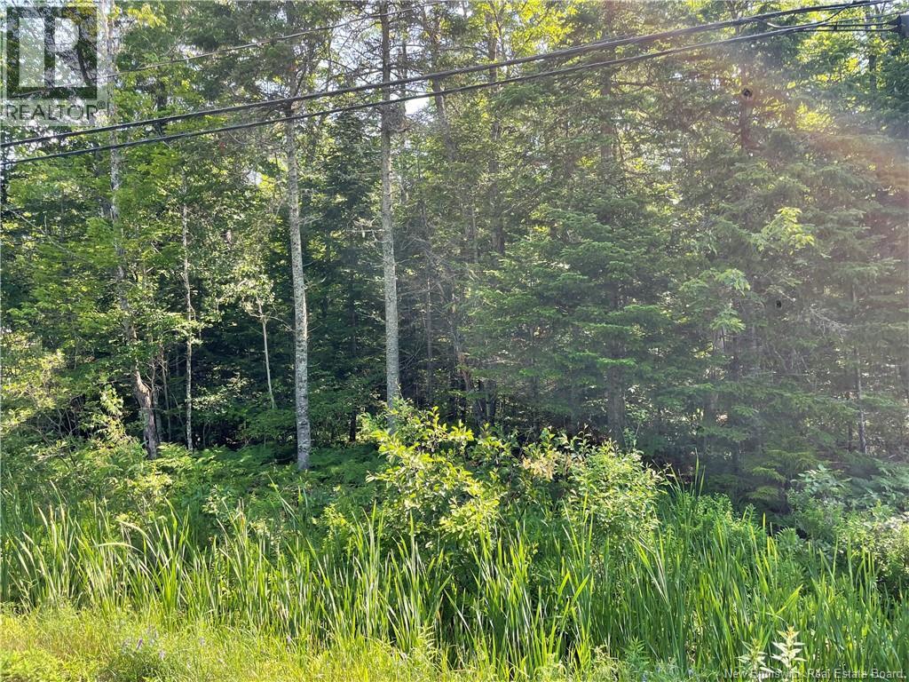 Lot 1 Route 490, McQuade, New Brunswick