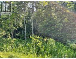 Lot 1 Route 490, McQuade, New Brunswick