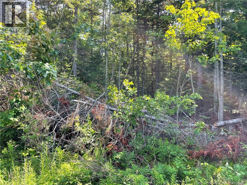 Lot 2 Route 490, McQuade, New Brunswick