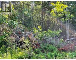 Lot 2 Route 490, McQuade, New Brunswick