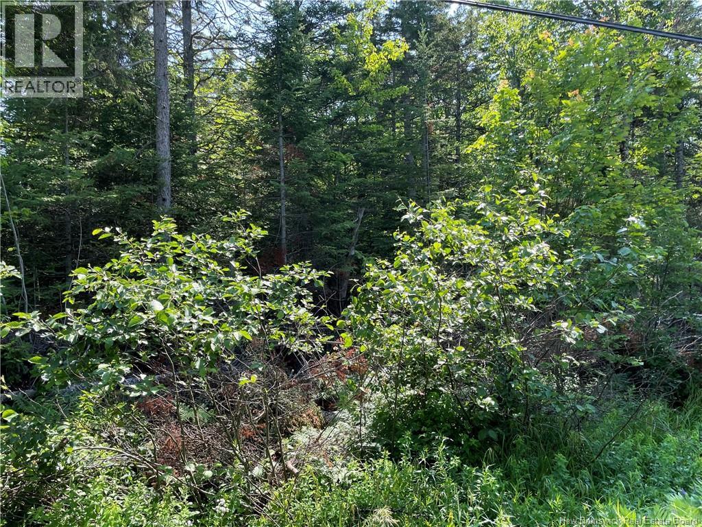 Lot 3 Route 490, McQuade