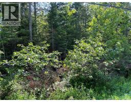 Lot 3 Route 490, McQuade, New Brunswick