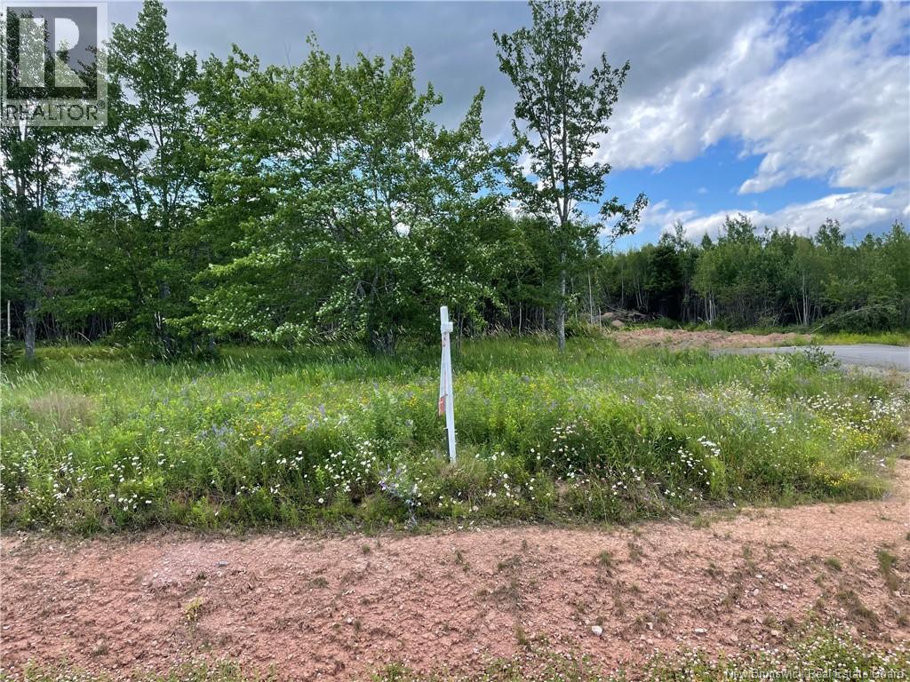 Lot 21-5 Fawcett Avenue, Petitcodiac, New Brunswick