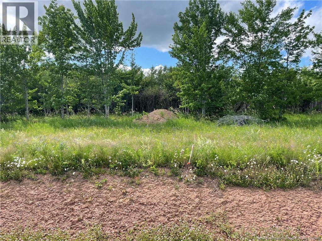 Lot 21-4 Fawcett Avenue, Petitcodiac, New Brunswick