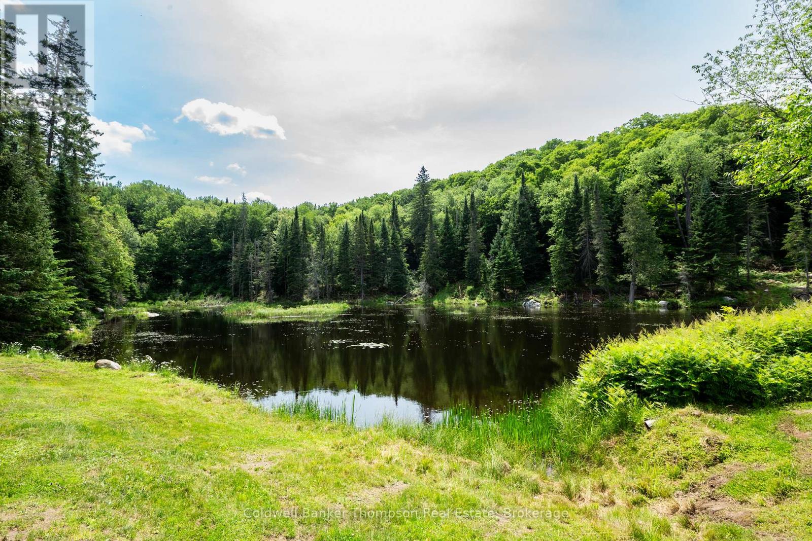 448 Long Lake Road, Perry, Ontario  P0A 1R0 - Photo 17 - X13509496