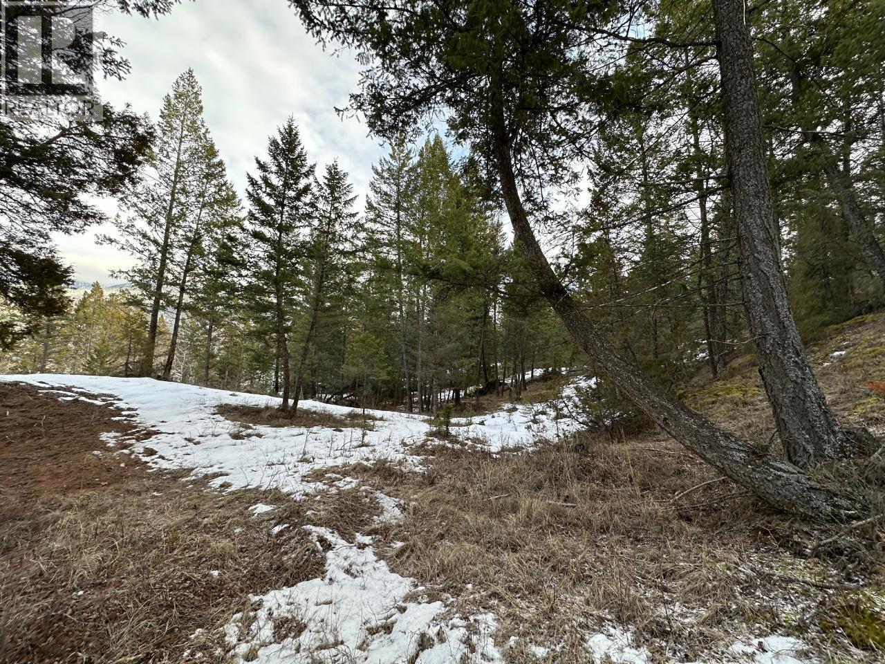 Lot 38 Rose Terrace, Fairmont Hot Springs, British Columbia  V0B 1L1 - Photo 9 - 10376412
