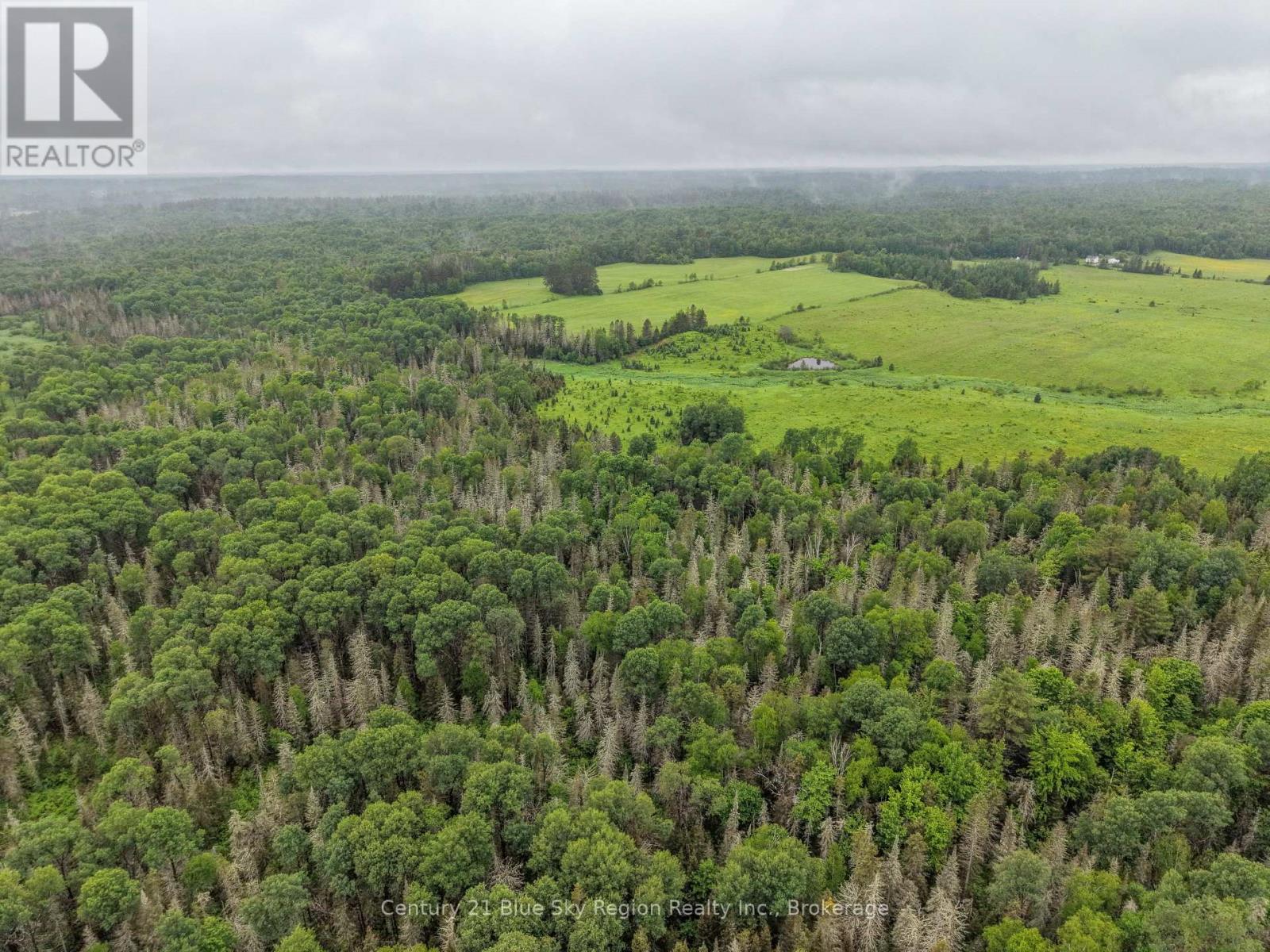 0 Con 12 Pt Lot 11 Pearceley Road, Magnetawan, Ontario P0A 1Z0 - Photo 10 - X13526510
