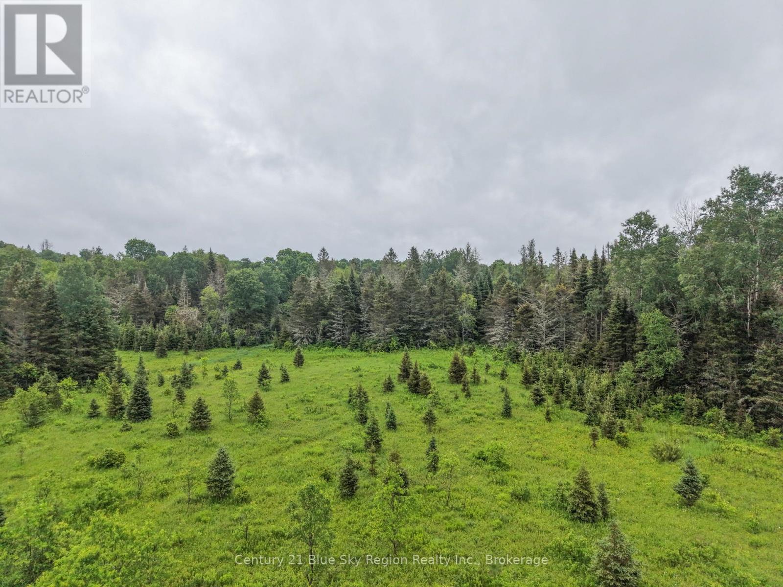 0 Con 12 Pt Lot 11 Pearceley Road, Magnetawan, Ontario P0A 1Z0 - Photo 18 - X13526510