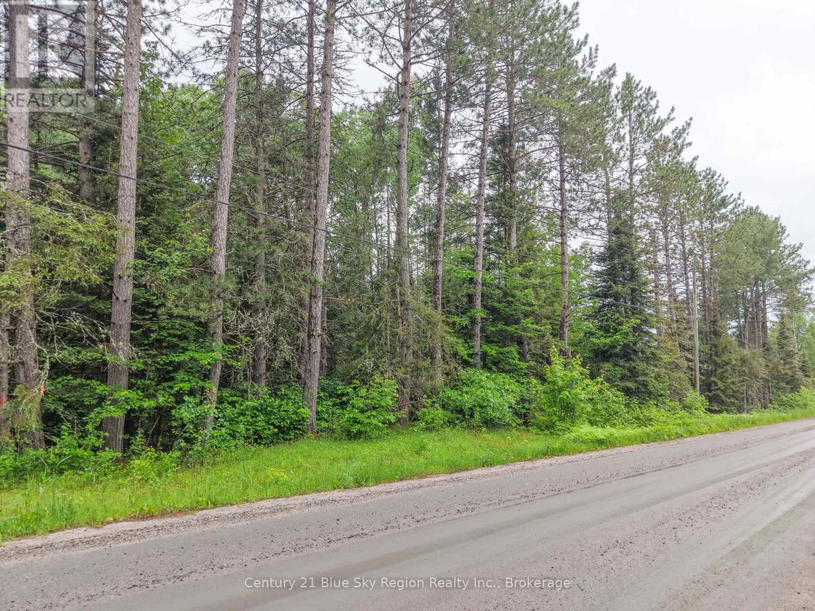 0 Con 12 Pt Lot 11 Pearceley Road, Magnetawan, Ontario P0A 1Z0 - Photo 2 - X13526510