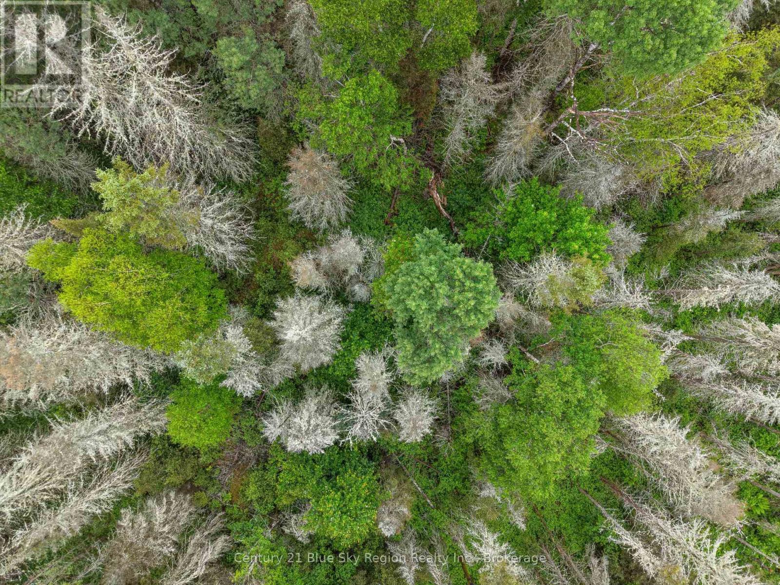 0 Con 12 Pt Lot 11 Pearceley Road, Magnetawan, Ontario P0A 1Z0 - Photo 22 - X13526510