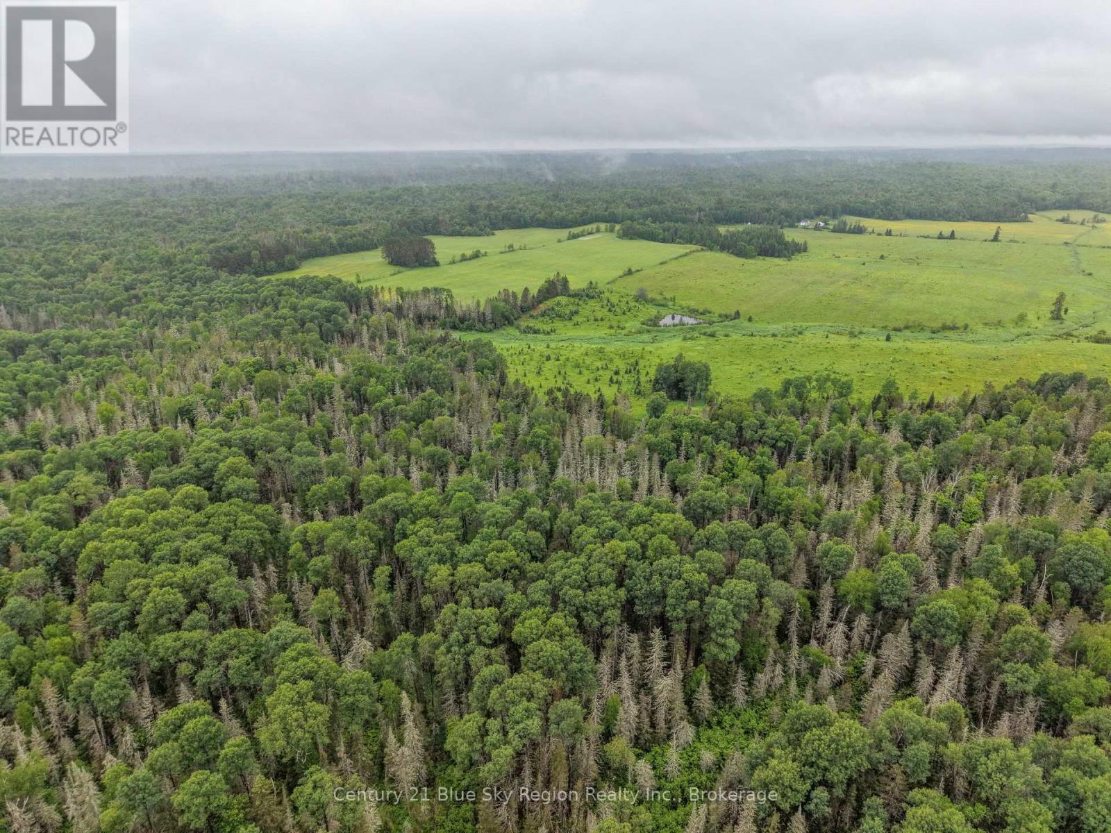 0 Con 12 Pt Lot 11 Pearceley Road, Magnetawan, Ontario P0A 1Z0 - Photo 9 - X13526510