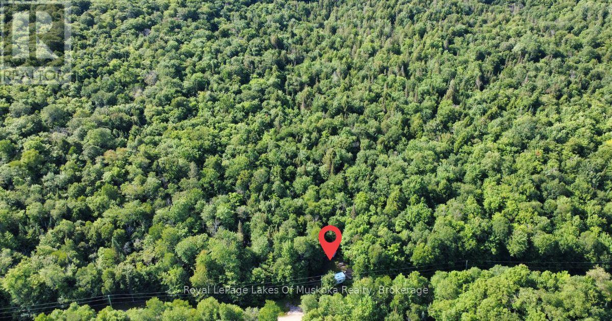 849 Hamilton Lake Road, Machar, Ontario  P0A 1X0 - Photo 10 - X13526590