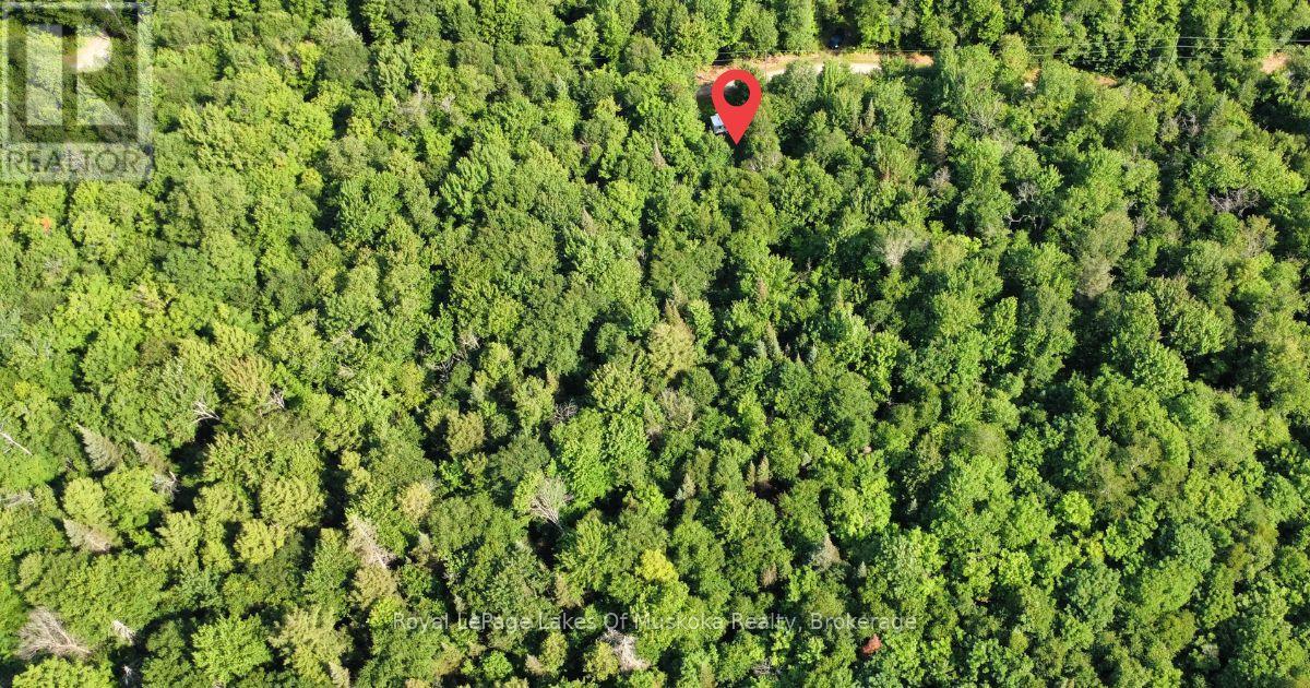 849 Hamilton Lake Road, Machar, Ontario  P0A 1X0 - Photo 11 - X13526590