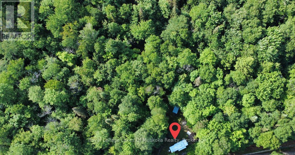 849 Hamilton Lake Road, Machar, Ontario  P0A 1X0 - Photo 12 - X13526590