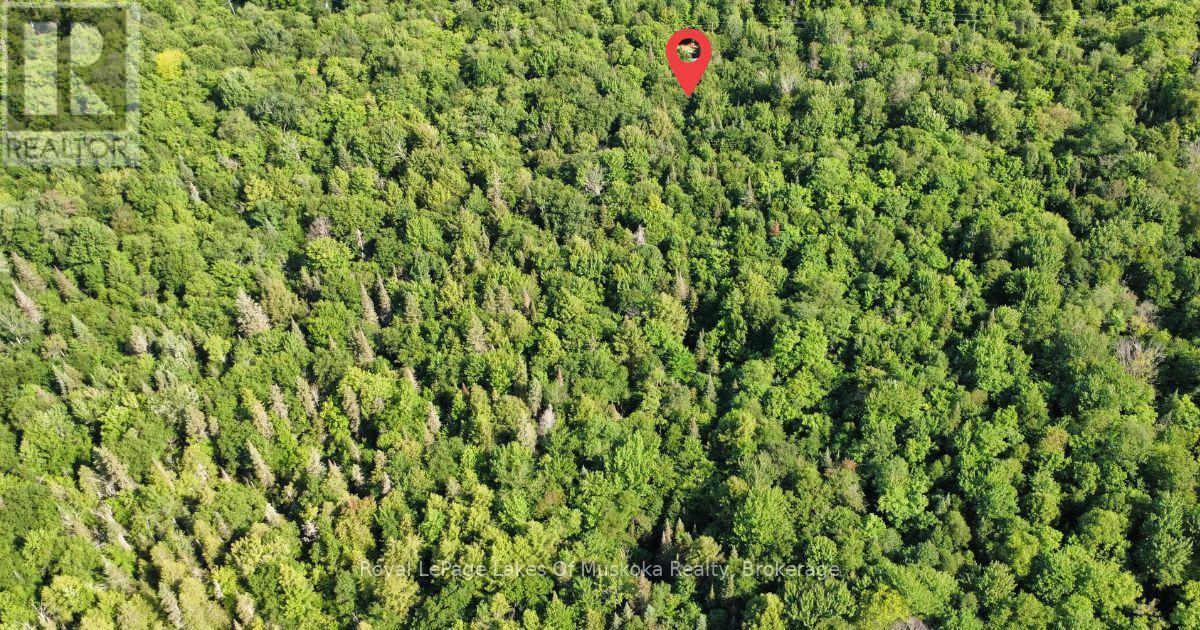 849 Hamilton Lake Road, Machar, Ontario  P0A 1X0 - Photo 13 - X13526590