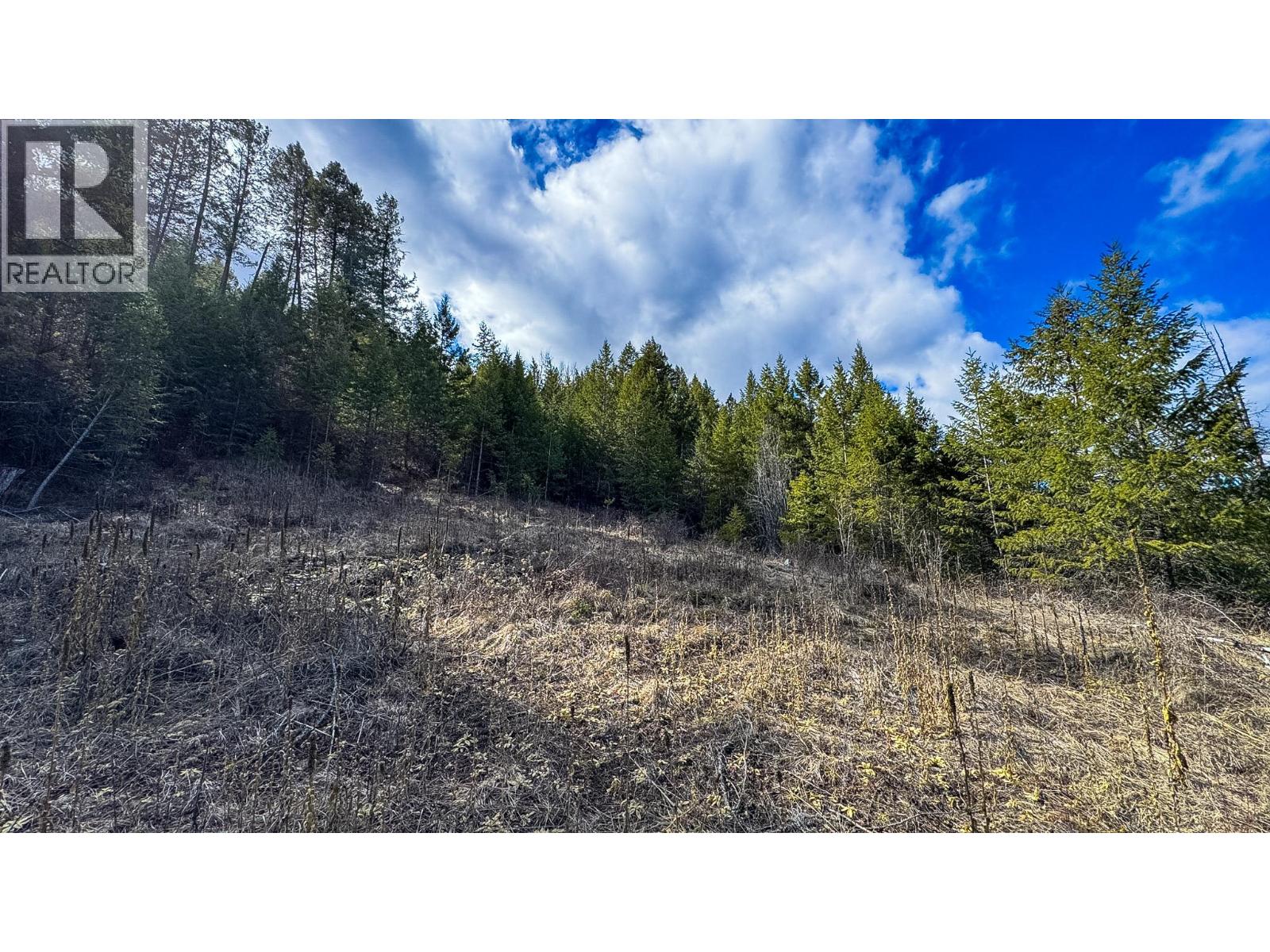 Dl 862 3 Highway, Rock Creek, British Columbia  V0H 1Y0 - Photo 15 - 10379492