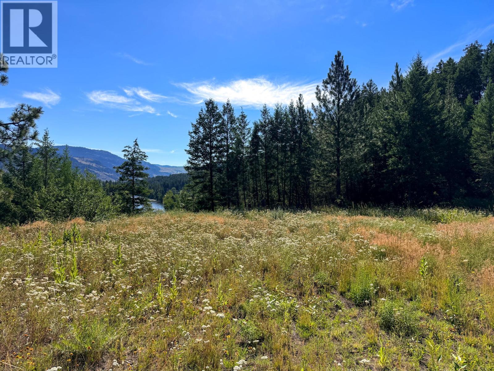 Dl 862 3 Highway, Rock Creek, British Columbia  V0H 1Y0 - Photo 6 - 10379492