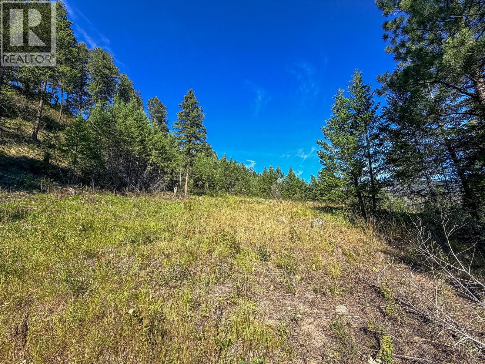 Dl 862 3 Highway, Rock Creek, British Columbia  V0H 1Y0 - Photo 4 - 10379492