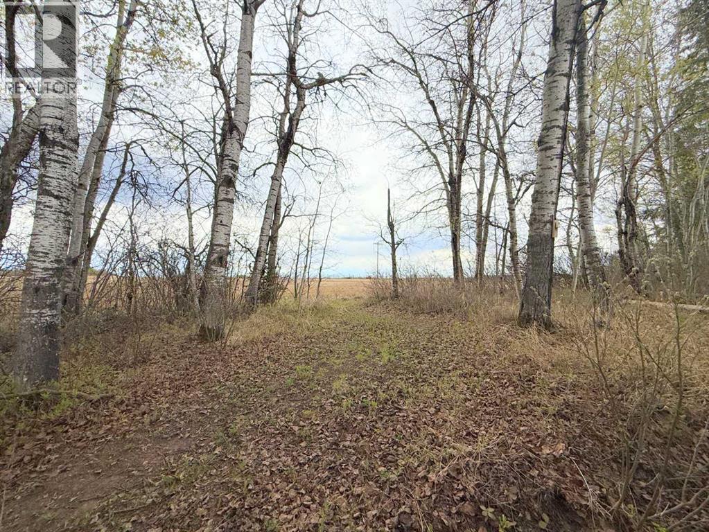 682001a Range Road 222.9, Rural Athabasca County, Alberta  T9S 2B8 - Photo 26 - A2313597