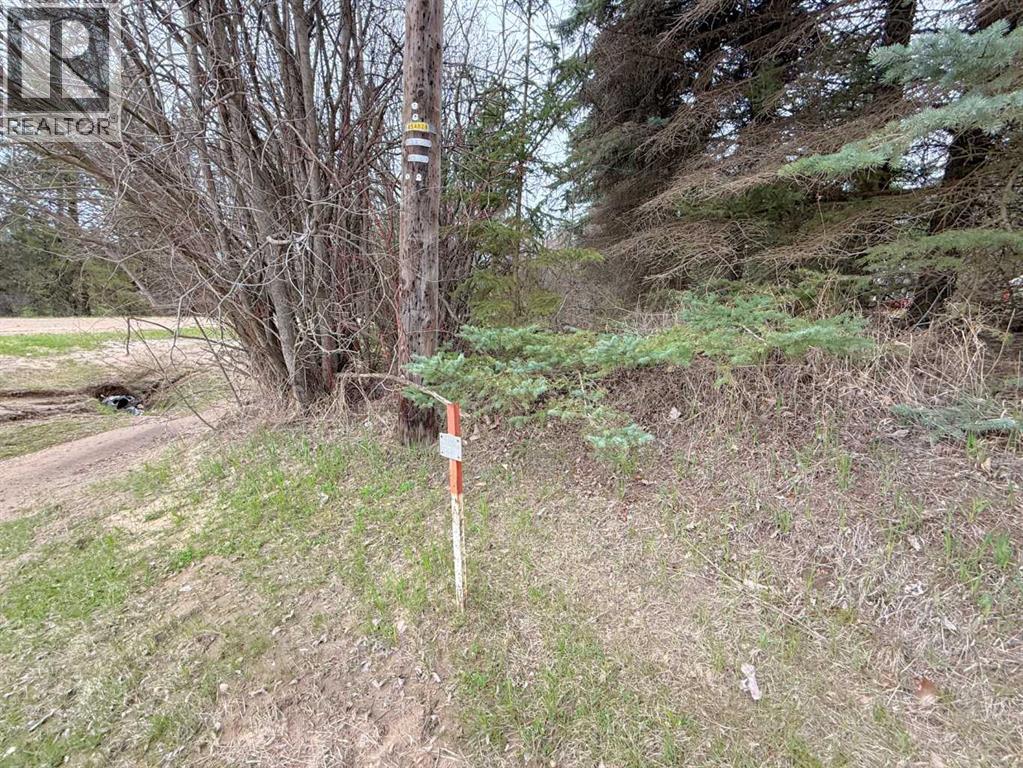 682001a Range Road 222.9, Rural Athabasca County, Alberta  T9S 2B8 - Photo 27 - A2313597