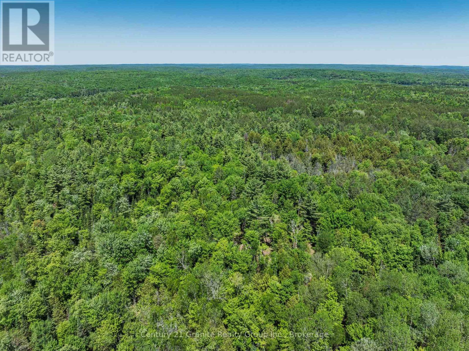 0 Brady Lake Road, Algonquin Highlands, Ontario  K0M 2K0 - Photo 6 - X13526938