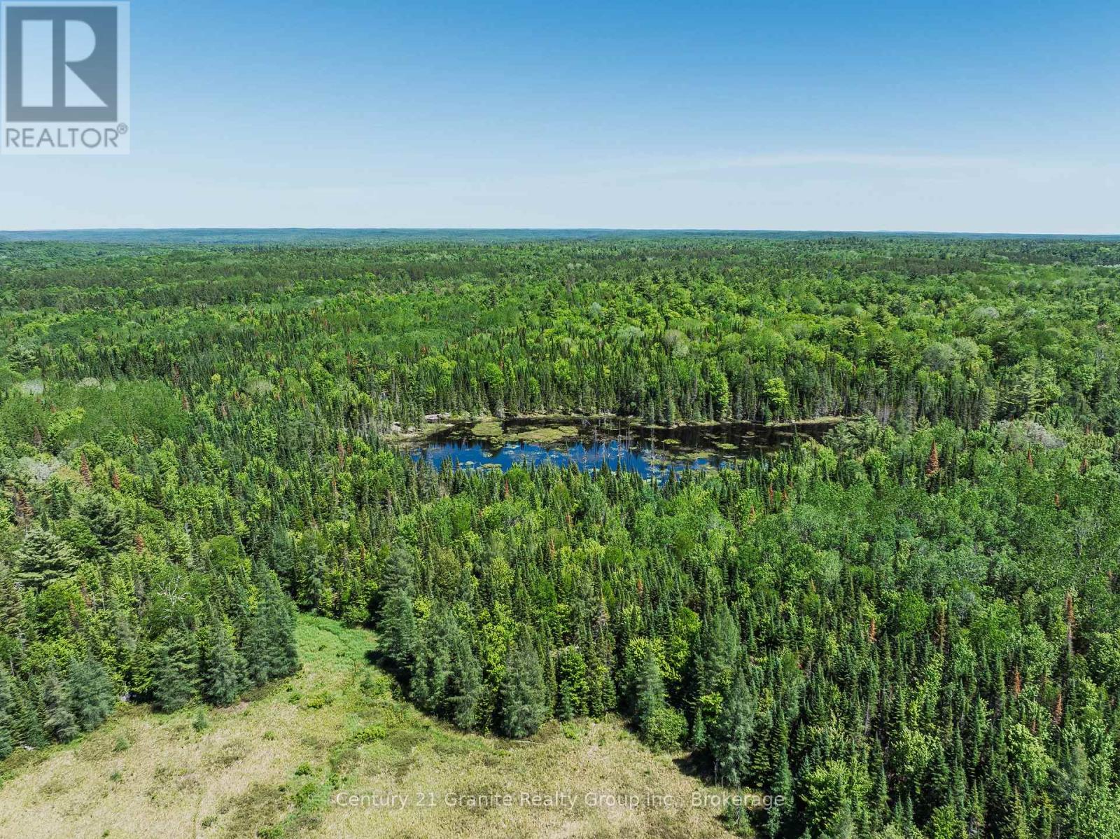 0 Brady Lake Road, Algonquin Highlands, Ontario  K0M 2K0 - Photo 9 - X13526938