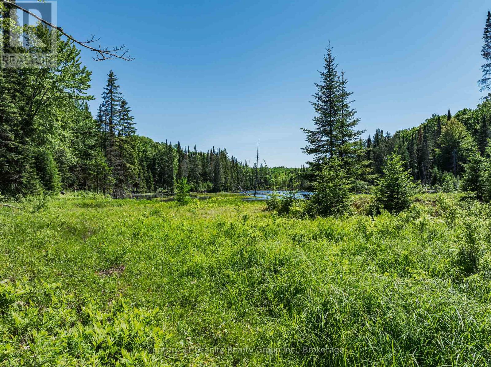 0 Kushog Lake Road, Algonquin Highlands, Ontario  K0M 1S0 - Photo 7 - X13526948