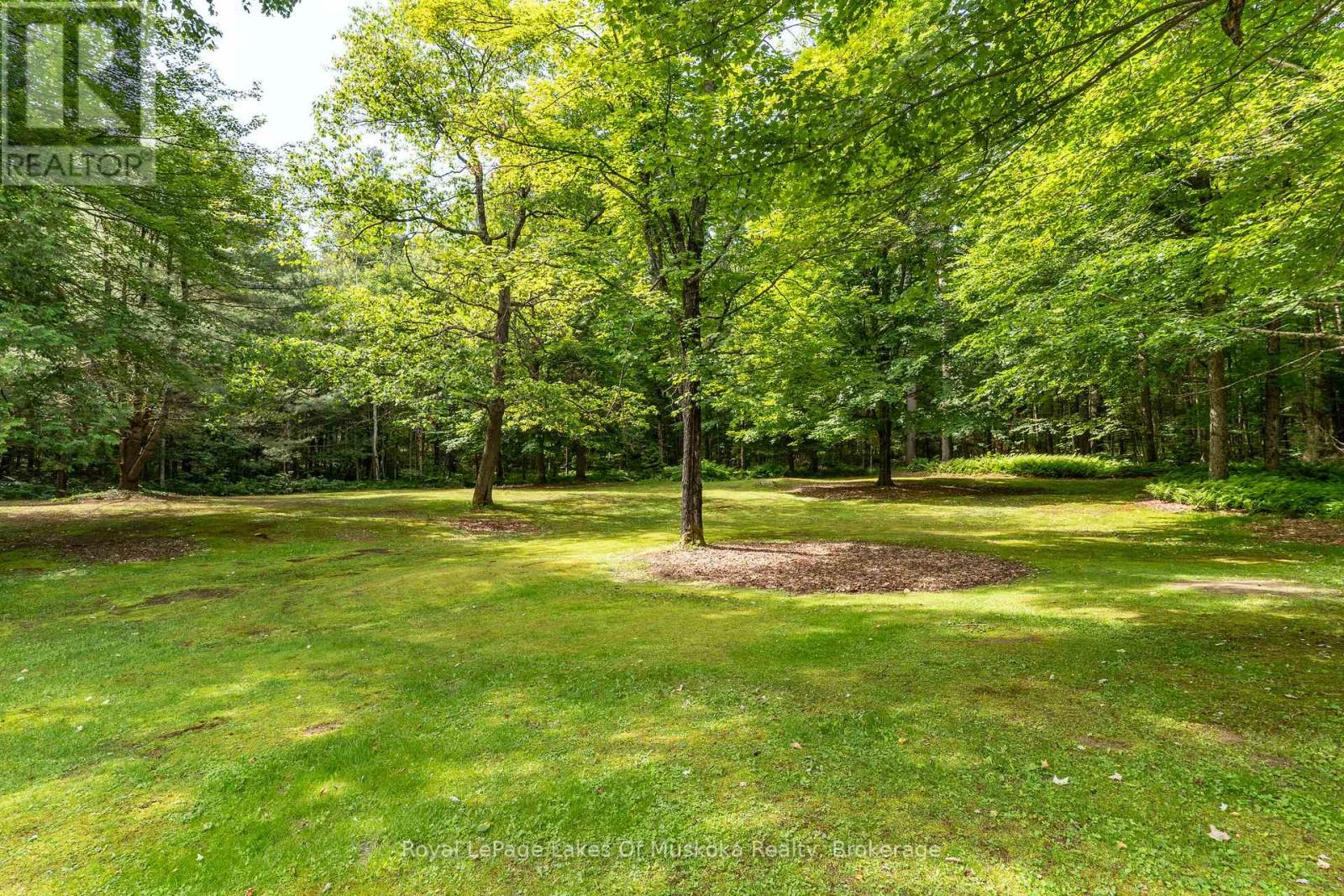 1170 Muskoka 117 Road, Bracebridge, Ontario  P1L 1W9 - Photo 3 - X13527124