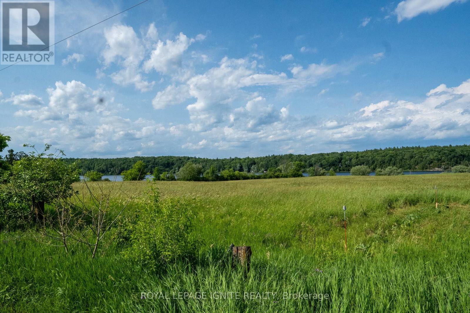 358 Faught Road, Whitewater Region, Ontario  K0J 1K0 - Photo 9 - X13486274