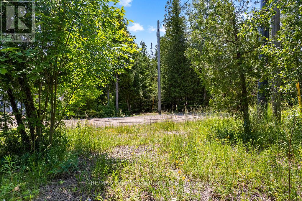6 Island View Road, Northern Bruce Peninsula, Ontario  N0H 1W0 - Photo 10 - X13527398
