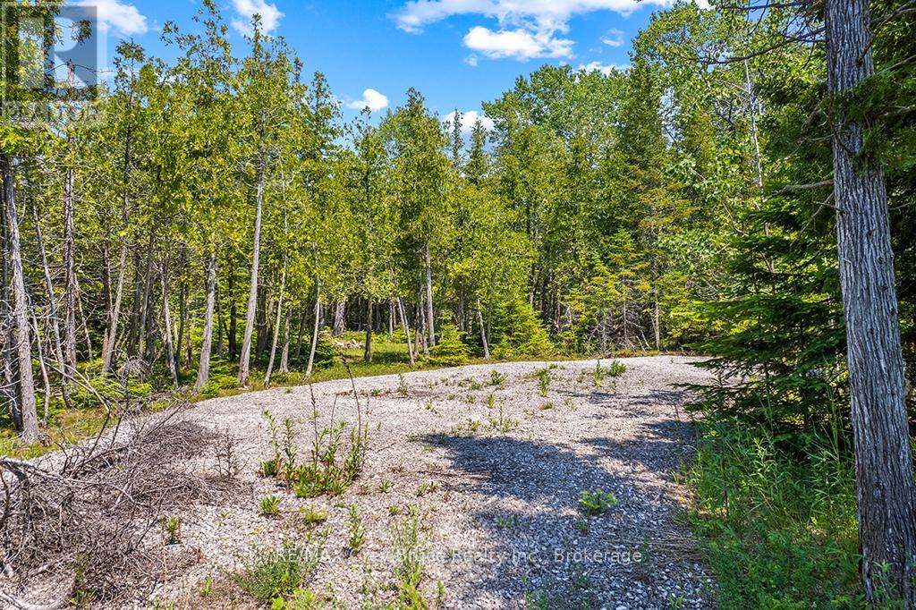 6 Island View Road, Northern Bruce Peninsula, Ontario  N0H 1W0 - Photo 11 - X13527398