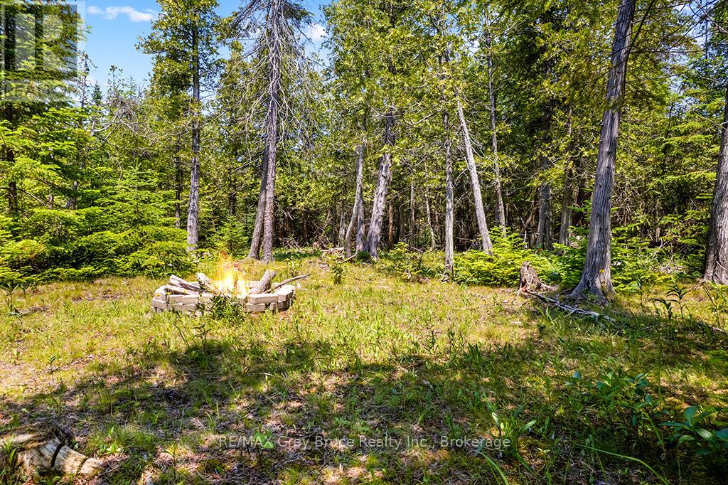 6 Island View Road, Northern Bruce Peninsula, Ontario  N0H 1W0 - Photo 15 - X13527398