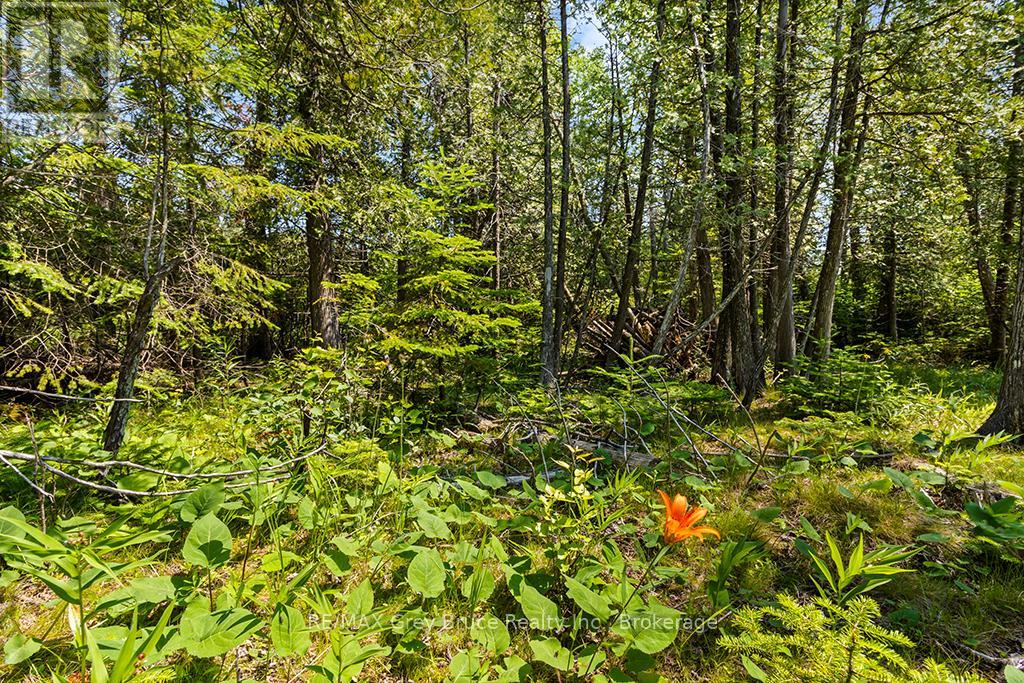 6 Island View Road, Northern Bruce Peninsula, Ontario  N0H 1W0 - Photo 17 - X13527398