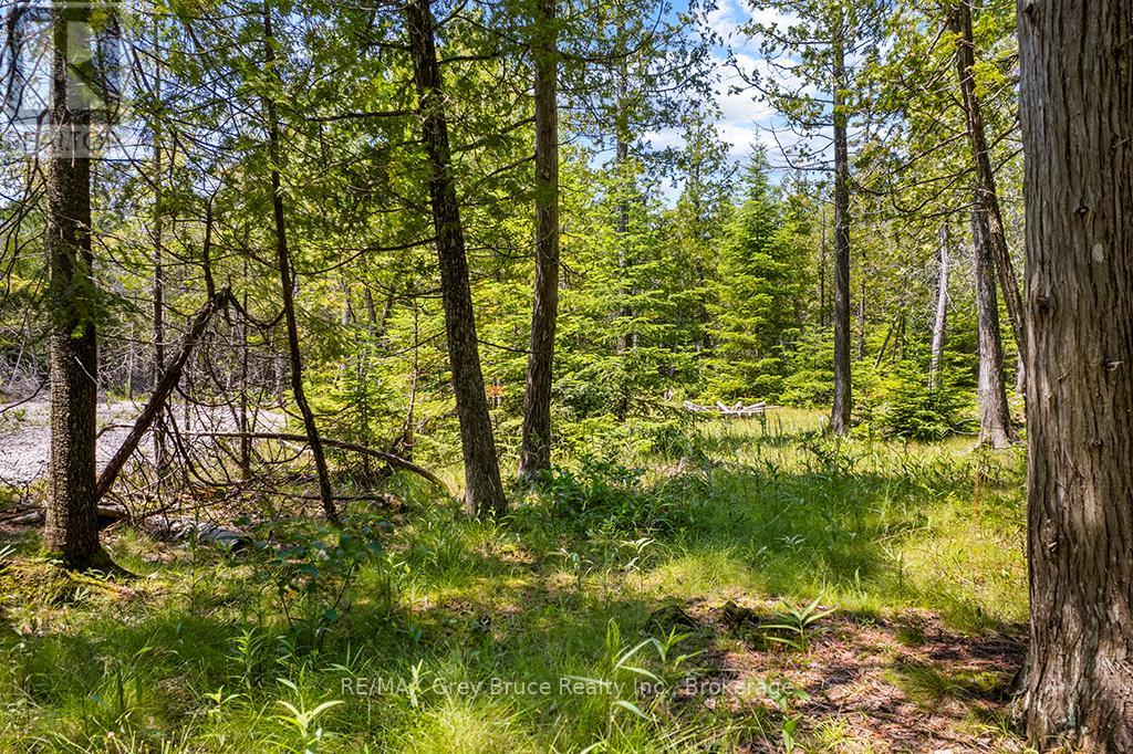 6 Island View Road, Northern Bruce Peninsula, Ontario  N0H 1W0 - Photo 18 - X13527398