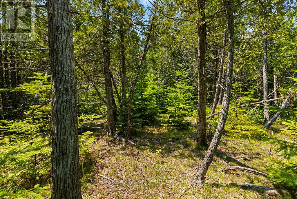 6 Island View Road, Northern Bruce Peninsula, Ontario  N0H 1W0 - Photo 19 - X13527398