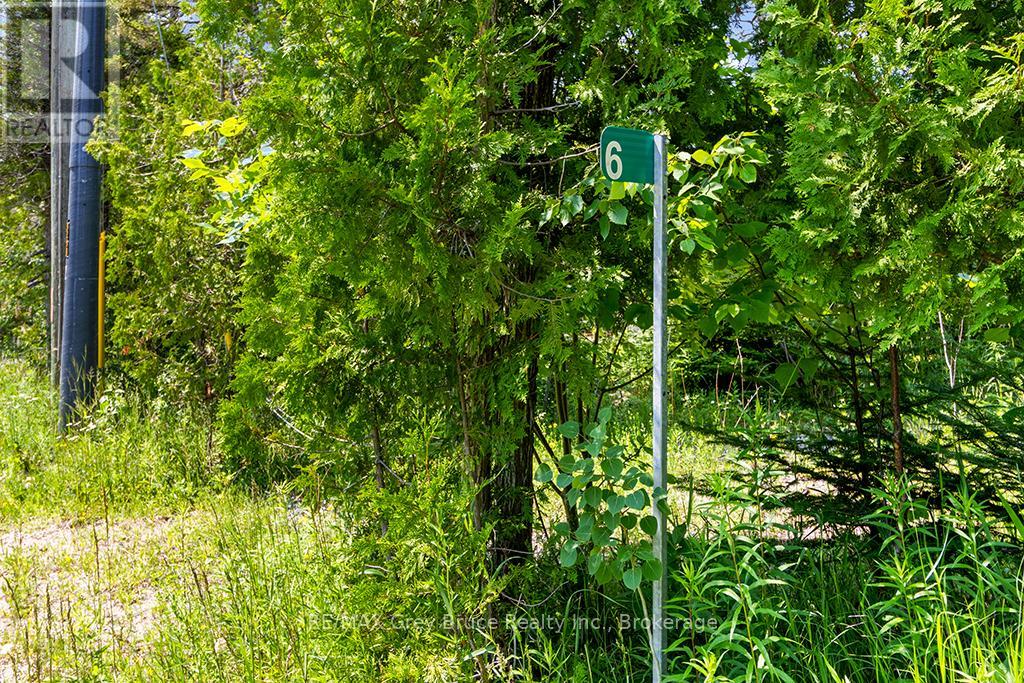 6 Island View Road, Northern Bruce Peninsula, Ontario  N0H 1W0 - Photo 8 - X13527398