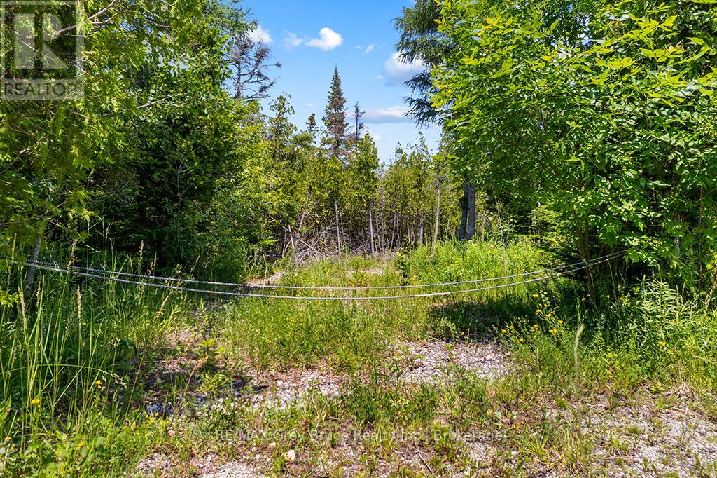 6 Island View Road, Northern Bruce Peninsula, Ontario  N0H 1W0 - Photo 9 - X13527398
