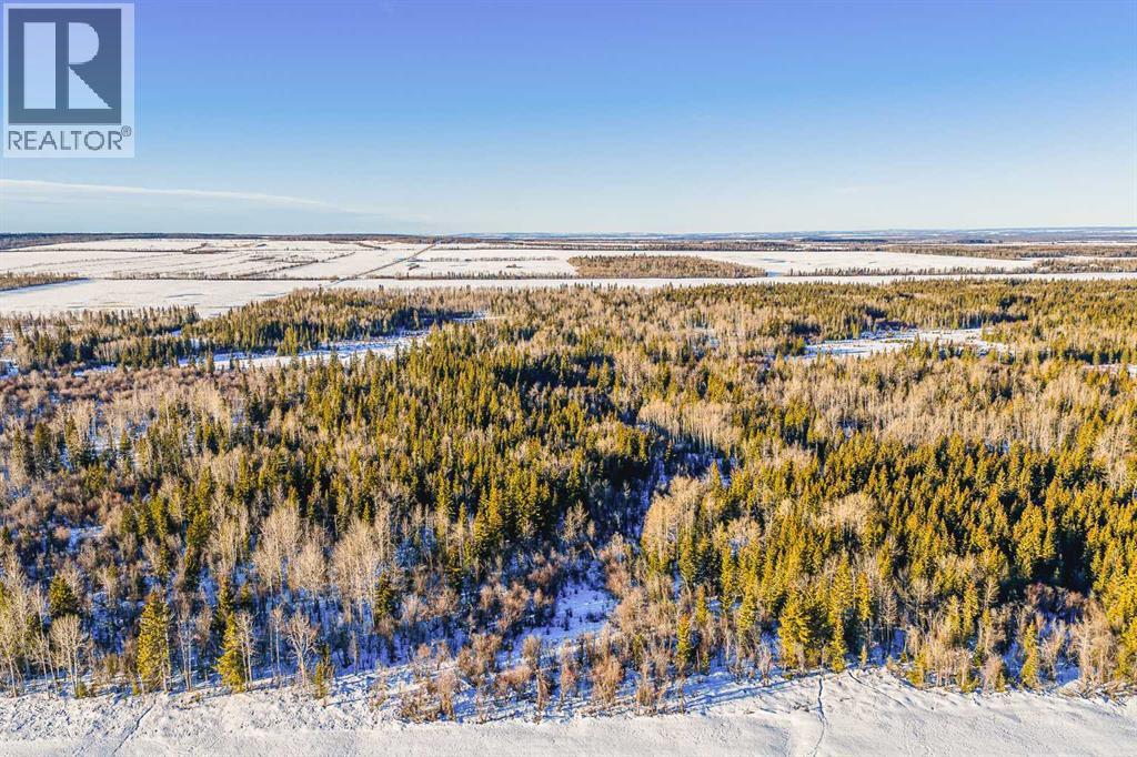 SE-13-81-10-W6 Twp Rd 812, Rural Saddle Hills County, Alberta  T0H 3G0 - Photo 17 - A2276197