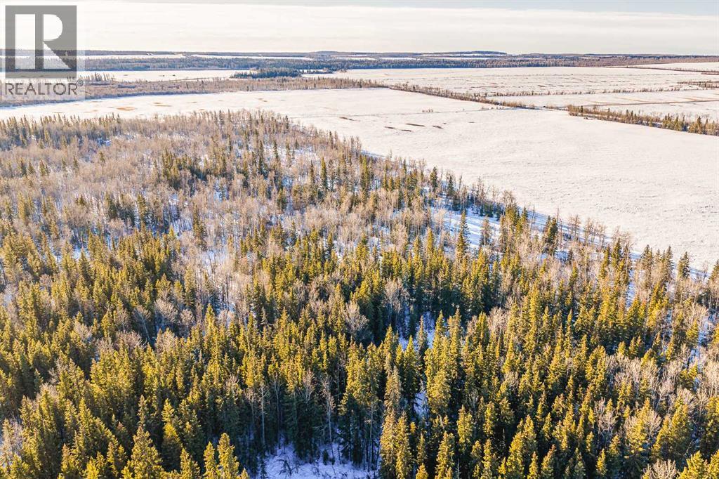 SE-13-81-10-W6 Twp Rd 812, Rural Saddle Hills County, Alberta  T0H 3G0 - Photo 32 - A2276197