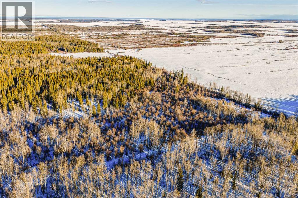 SE-13-81-10-W6 Twp Rd 812, Rural Saddle Hills County, Alberta  T0H 3G0 - Photo 11 - A2276197