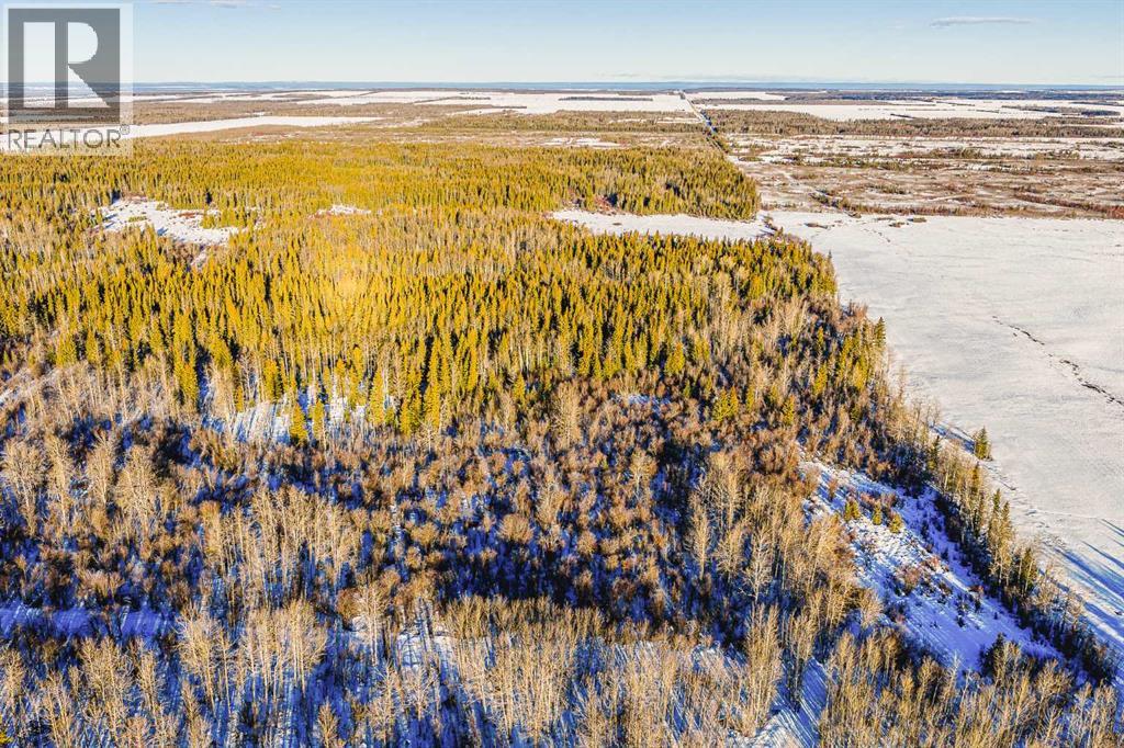 SE-13-81-10-W6 Twp Rd 812, Rural Saddle Hills County, Alberta  T0H 3G0 - Photo 12 - A2276197