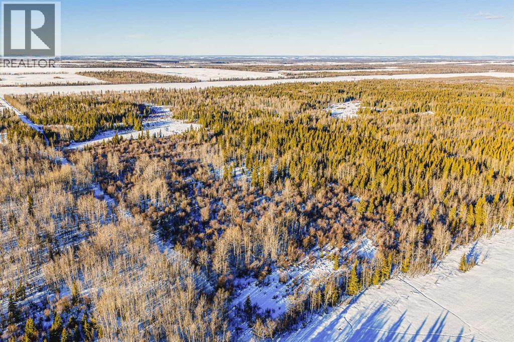 SE-13-81-10-W6 Twp Rd 812, Rural Saddle Hills County, Alberta  T0H 3G0 - Photo 13 - A2276197