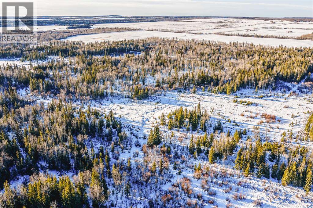 SE-13-81-10-W6 Twp Rd 812, Rural Saddle Hills County, Alberta  T0H 3G0 - Photo 24 - A2276197