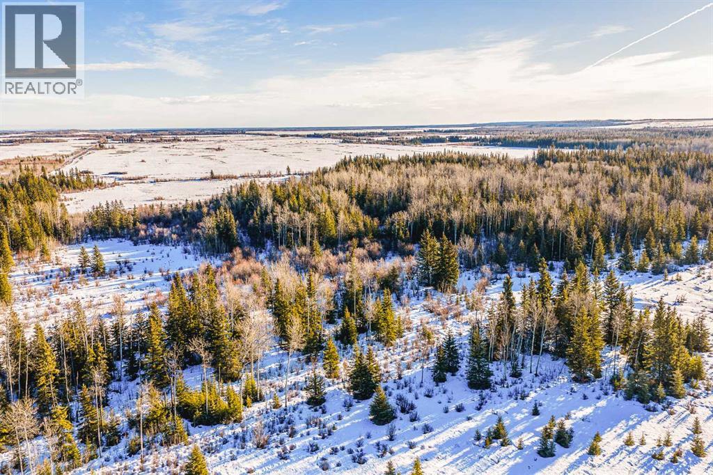 SE-13-81-10-W6 Twp Rd 812, Rural Saddle Hills County, Alberta  T0H 3G0 - Photo 27 - A2276197