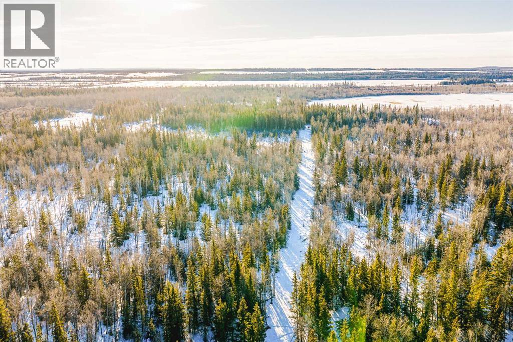 SE-13-81-10-W6 Twp Rd 812, Rural Saddle Hills County, Alberta  T0H 3G0 - Photo 29 - A2276197