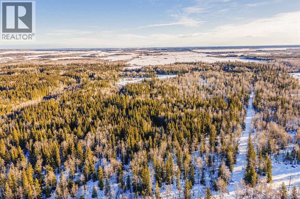 SE-13-81-10-W6 Twp Rd 812, Rural Saddle Hills County, Alberta  T0H 3G0 - Photo 34 - A2276197