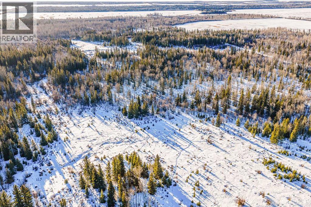 SE-13-81-10-W6 Twp Rd 812, Rural Saddle Hills County, Alberta  T0H 3G0 - Photo 25 - A2276197