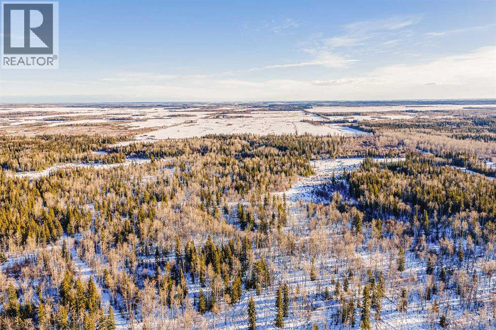 SE-13-81-10-W6 Twp Rd 812, Rural Saddle Hills County, Alberta  T0H 3G0 - Photo 35 - A2276197